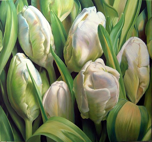 Tulips